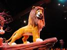 The Lion King Show at Animal Kingdom