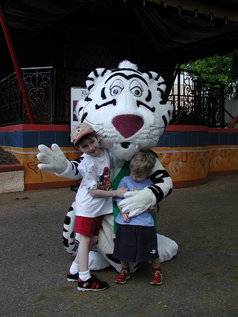 Siberian Tiger