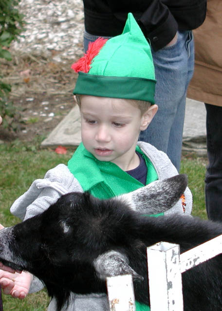 Pan feed the animals